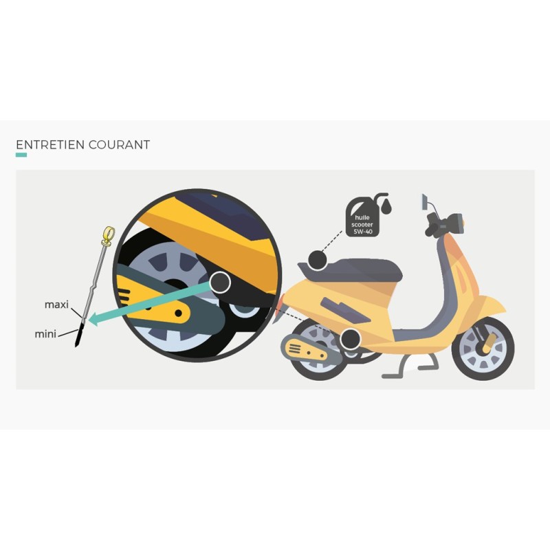 SUPPORT PÉDAGOGIQUE AM