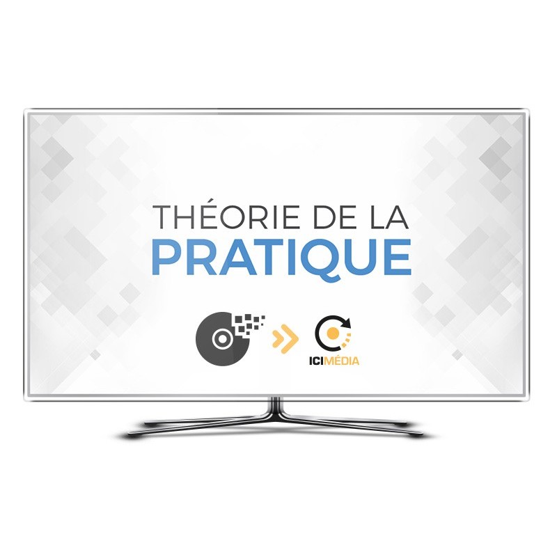 THÉORIE DE LA PRATIQUE