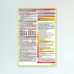 LOT 6 AFFICHES THÉMATIQUES