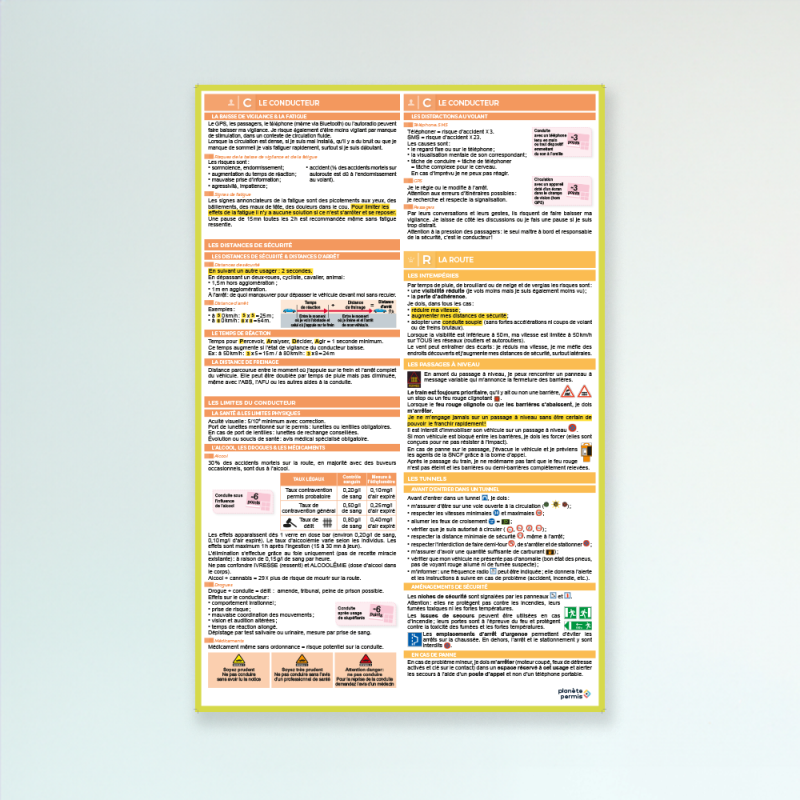 LOT 6 AFFICHES THÉMATIQUES