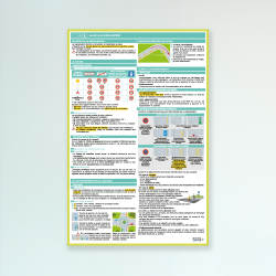 LOT 6 AFFICHES THÉMATIQUES