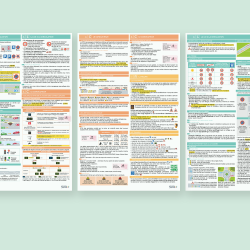 LOT 6 AFFICHES THÉMATIQUES